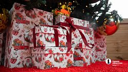 Дом Деда Мороза от ОТВ будет принимать гостей в центре Челябинска