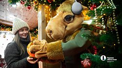 Дом Деда Мороза от ОТВ будет принимать гостей в центре Челябинска