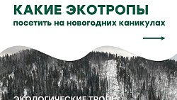 Челябинская область — идеальный выбор для активного отдыха на каникулах