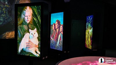 В Челябинске открылась выставка цифрового искусства с котиками и панельками