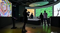 В Челябинске открылась выставка цифрового искусства с котиками и панельками