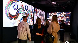 В Челябинске открылась выставка цифрового искусства с котиками и панельками