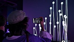 В Челябинске открылась выставка цифрового искусства с котиками и панельками