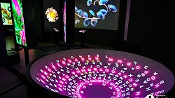 В Челябинске открылась выставка цифрового искусства с котиками и панельками