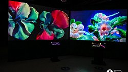 В Челябинске открылась выставка цифрового искусства с котиками и панельками