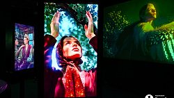 В Челябинске открылась выставка цифрового искусства с котиками и панельками