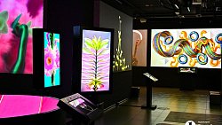 В Челябинске открылась выставка цифрового искусства с котиками и панельками