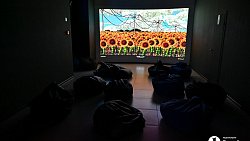 В Челябинске открылась выставка цифрового искусства с котиками и панельками