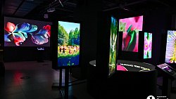 В Челябинске открылась выставка цифрового искусства с котиками и панельками