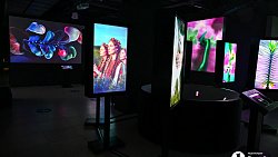 В Челябинске открылась выставка цифрового искусства с котиками и панельками