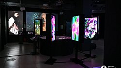 В Челябинске открылась выставка цифрового искусства с котиками и панельками