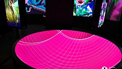 В Челябинске открылась выставка цифрового искусства с котиками и панельками