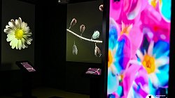 В Челябинске открылась выставка цифрового искусства с котиками и панельками