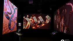 В Челябинске открылась выставка цифрового искусства с котиками и панельками