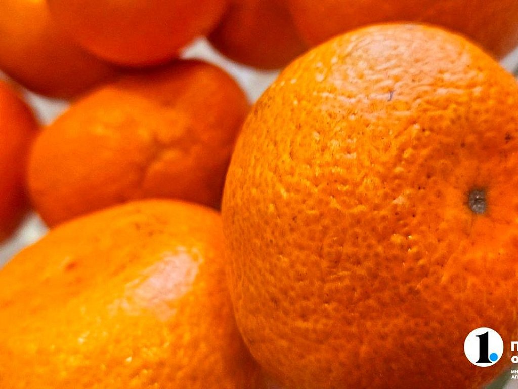 В Челябинск из Китая ввезли 52 тонны мандаринов и томатов перед Новым годом