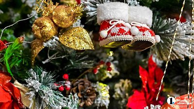 В Челябинской области детям бойца помогли избежать детдома перед Новым годом