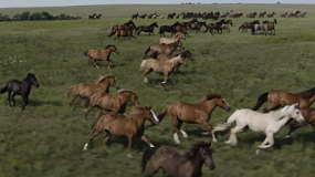 2026 год — наступает эпоха Красной Огненной Лошади