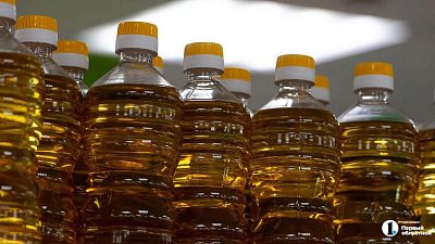 По 100 литров масла на жителя: такой урожай масличных собрали на Южном Урале