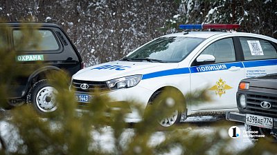 В Златоусте гаишники поймали браконьера с тремя тушами сибирских косуль