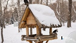 Челябинцы проводят новогодние каникулы в ледовом городке «Сада Победы»