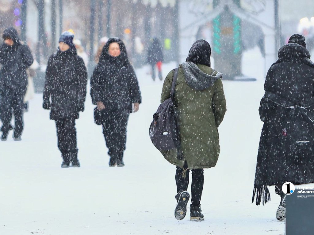 В ночь на 9 января в Челябинской области пройдет снег