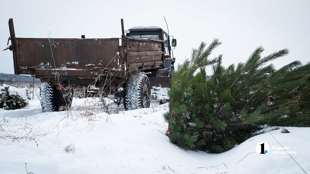 В Челябинске за выброс новогодней ели в мусорный бак оштрафуют на 250 тысяч рублей