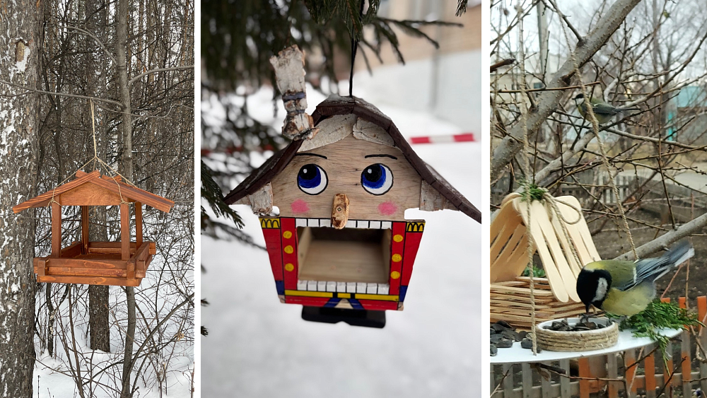 Челябинцев призывают присоединиться к экологической акции «Синичка-74»