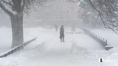 На юге Челябинской области выпала месячная норма осадков за 10 дней