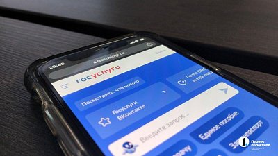 Реестр злостных неплательщиков алиментов заработал на «Госуслугах»