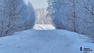 Алексей Текслер поручил поставить пункты обогрева на трассах перед стужей до −40°