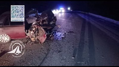 Два человека погибли в лобовом столкновении на трассе в Варненском районе