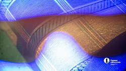 Дедукция, нейросети и полиграф: как на самом деле работают челябинские криминалисты