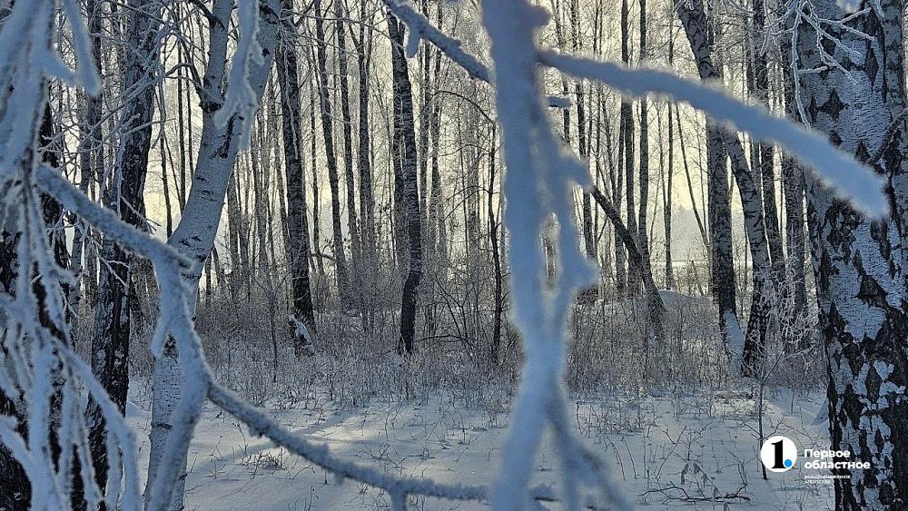 Влияние арктического антициклона на погоду Южного Урала сохранится 16 января