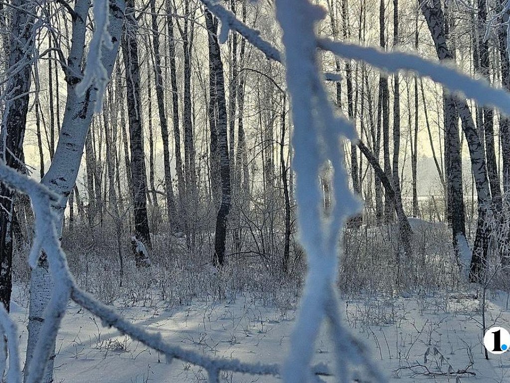 Влияние арктического антициклона на погоду Южного Урала сохранится 16 января