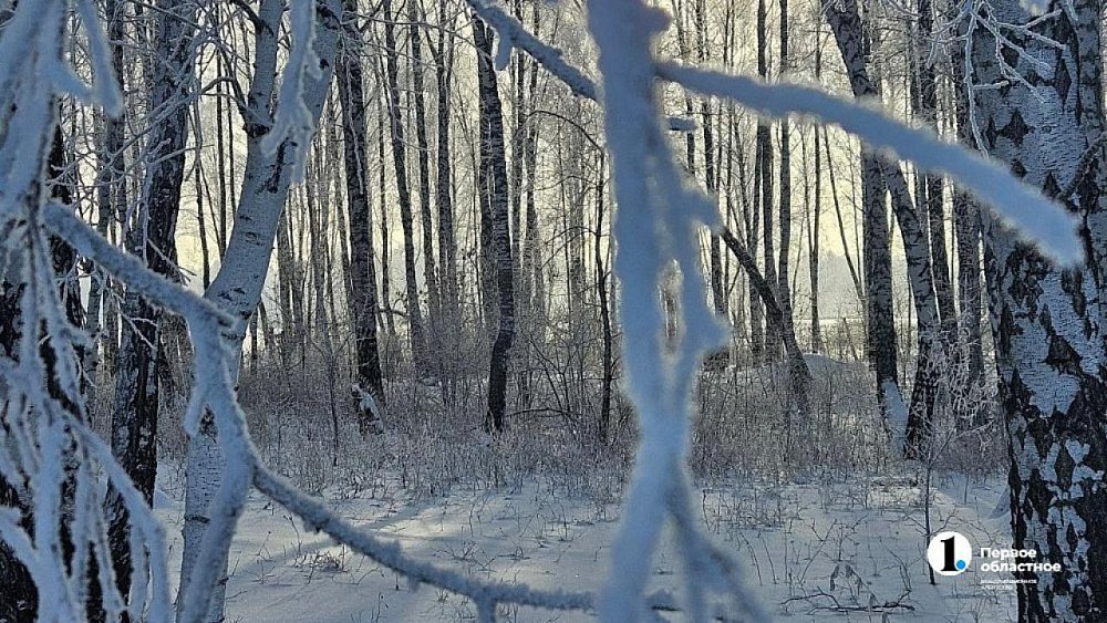В Агаповском округе заранее перевели школы на дистант из‑за морозов 16 января