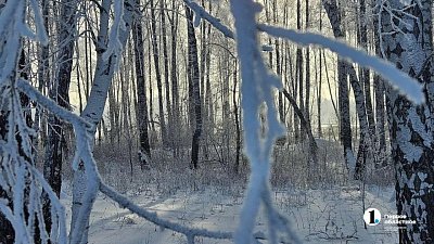 В Агаповском округе заранее перевели школы на дистант из-за морозов 16 января