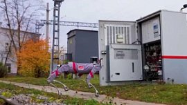 РЖД тестируют биоморфных роботов в Челябинске и на юге России