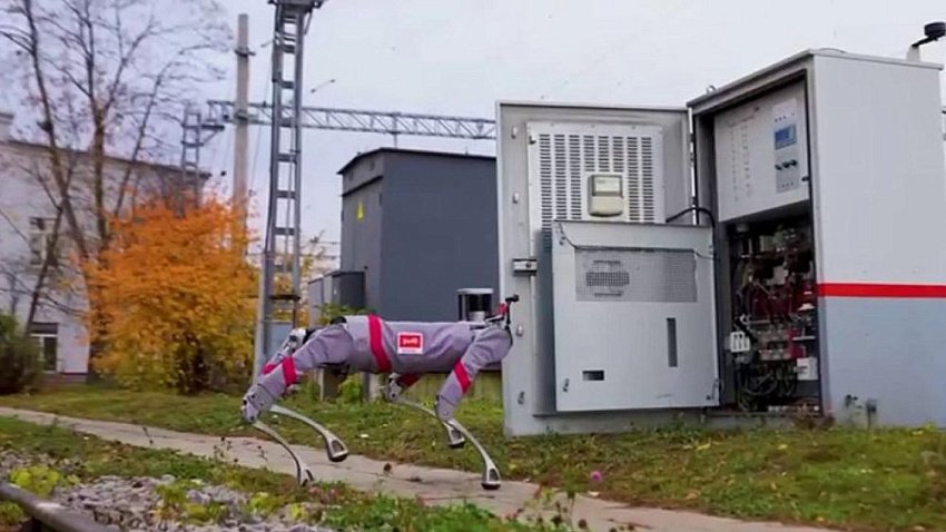 РЖД тестируют биоморфных роботов в Челябинске и на юге России