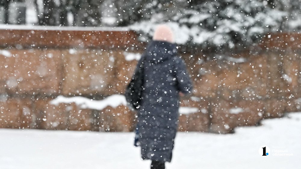 Снежную погоду пообещали жителям Челябинской области 19 января