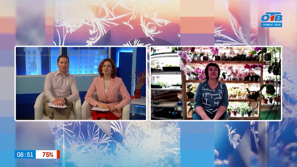 О красавицах-орхидеях — Гость на связи