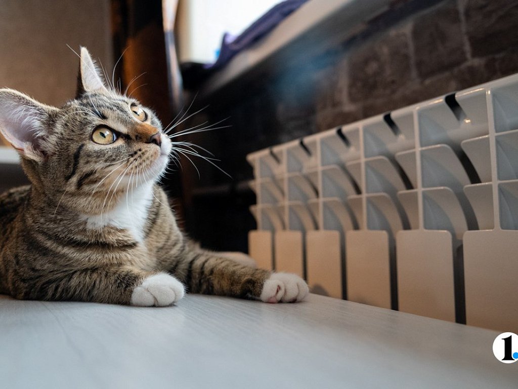 Какая температура должна быть в челябинских квартирах зимой