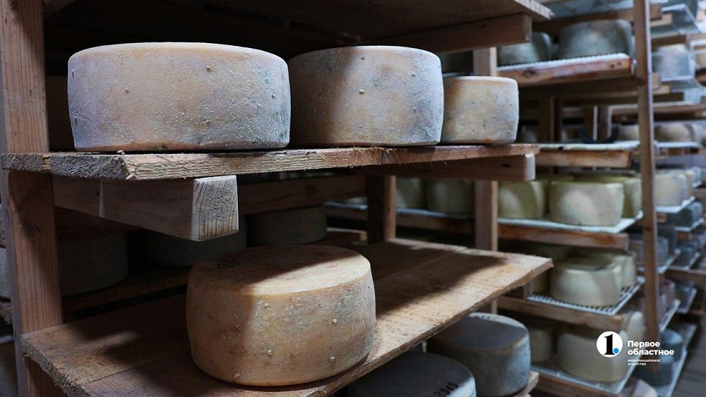 Челябинский сыровар рассказал, как правильно хранить и нарезать сыр