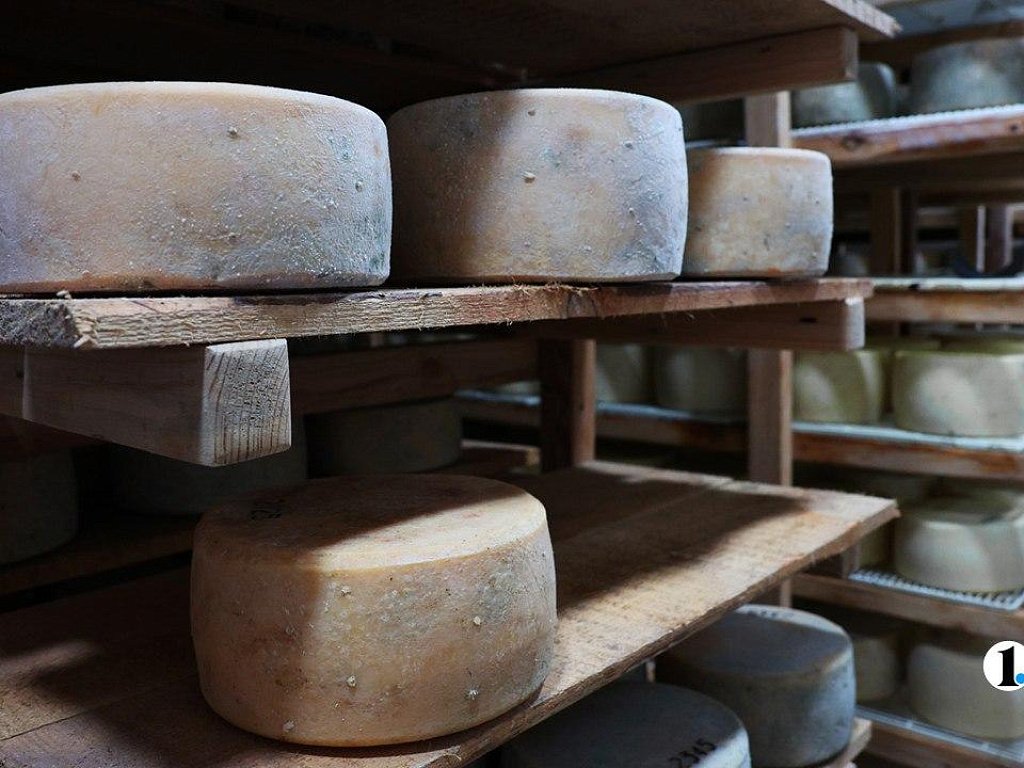 Челябинский сыровар рассказал, как правильно хранить и нарезать сыр