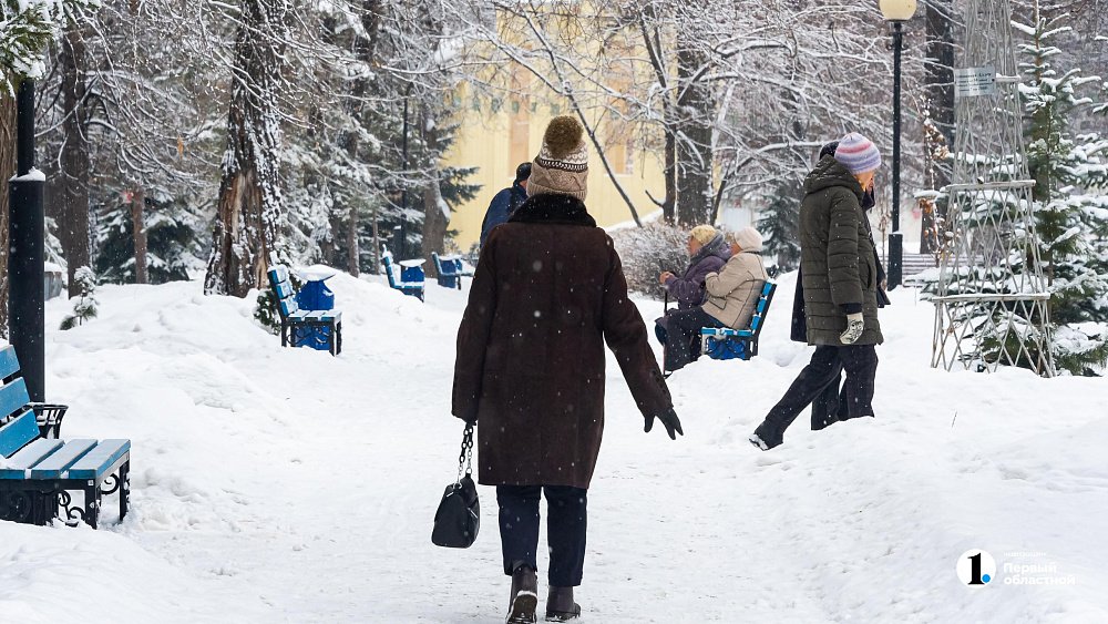 Понижение температуры, снег и туман ожидают южноуральцев 21 января