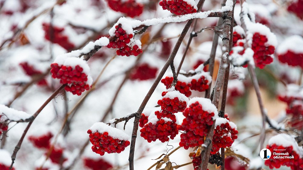 Снег и мороз до −24 градусов ждут жителей Челябинской области 21 января