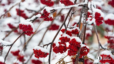 Снег и мороз до −24 градусов ждут жителей Челябинской области 21 января