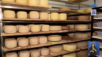 20 января отмечается День любителей сыра