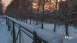 Сильный мороз в Челябинске заставил фотографов выйти на улицу