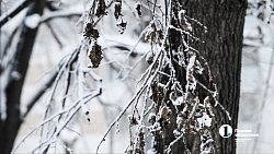 Сильный мороз в Челябинске заставил фотографов выйти на улицу