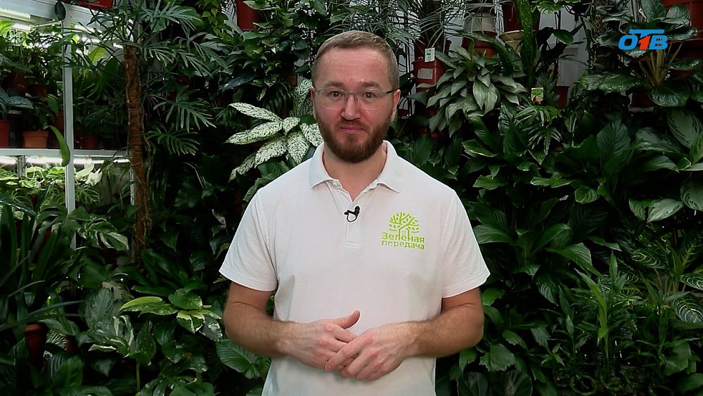 Тонкости посадки различных культур